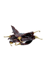 Dried Chillie Guajillo 100g Chillies Poblano 